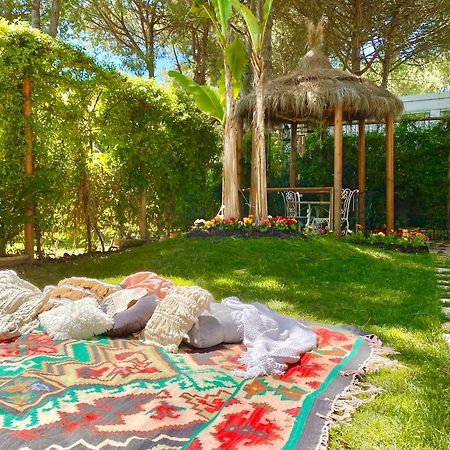 Beach Garden Paradise ดูร์เรส ภายนอก รูปภาพ