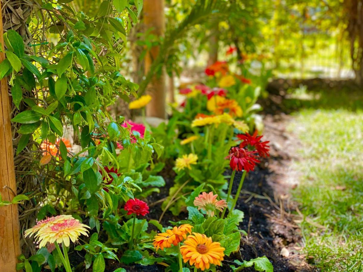 Beach Garden Paradise ดูร์เรส ภายนอก รูปภาพ